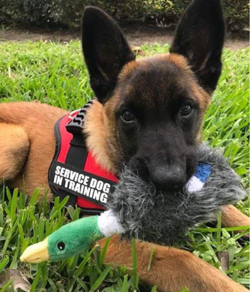 He's growing up big & strong thanks to PetKind!