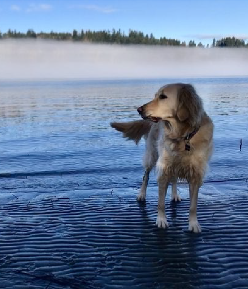 We are excited to try your new flavours – I really love that you kept them chicken free!