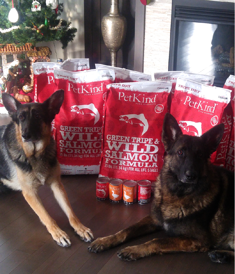 We knew from the first bite, it was a match.