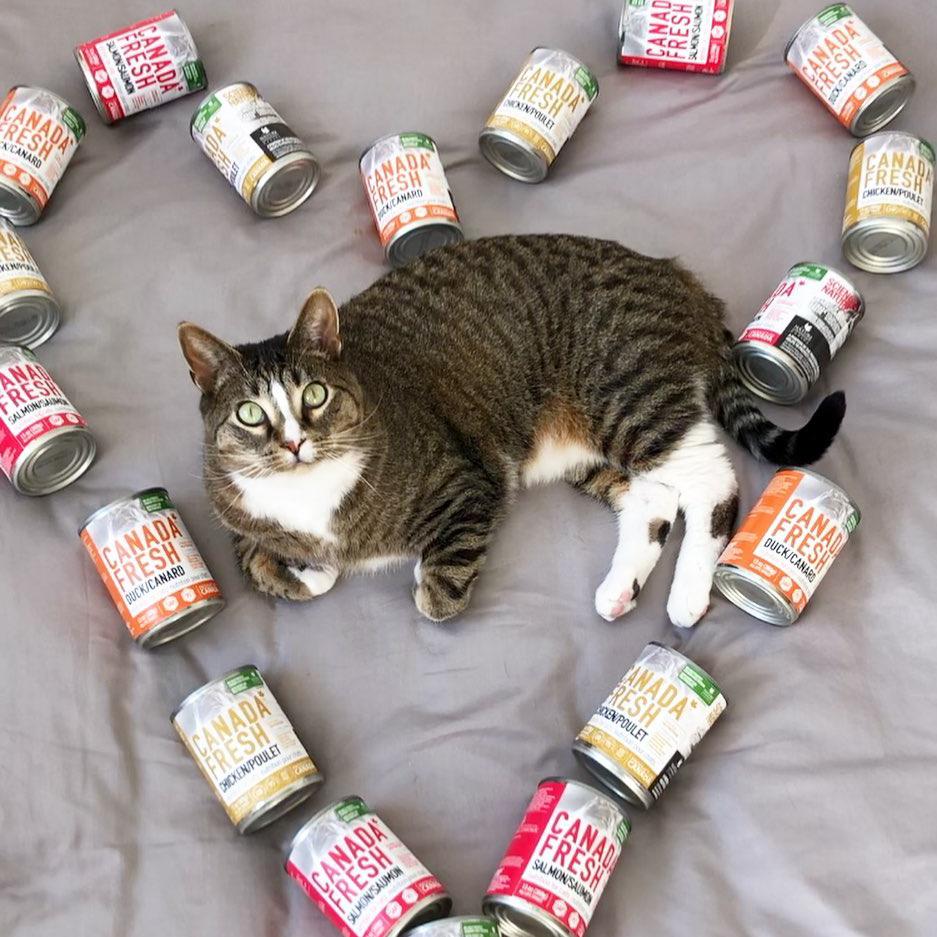 No more allergic reactions for Mimo