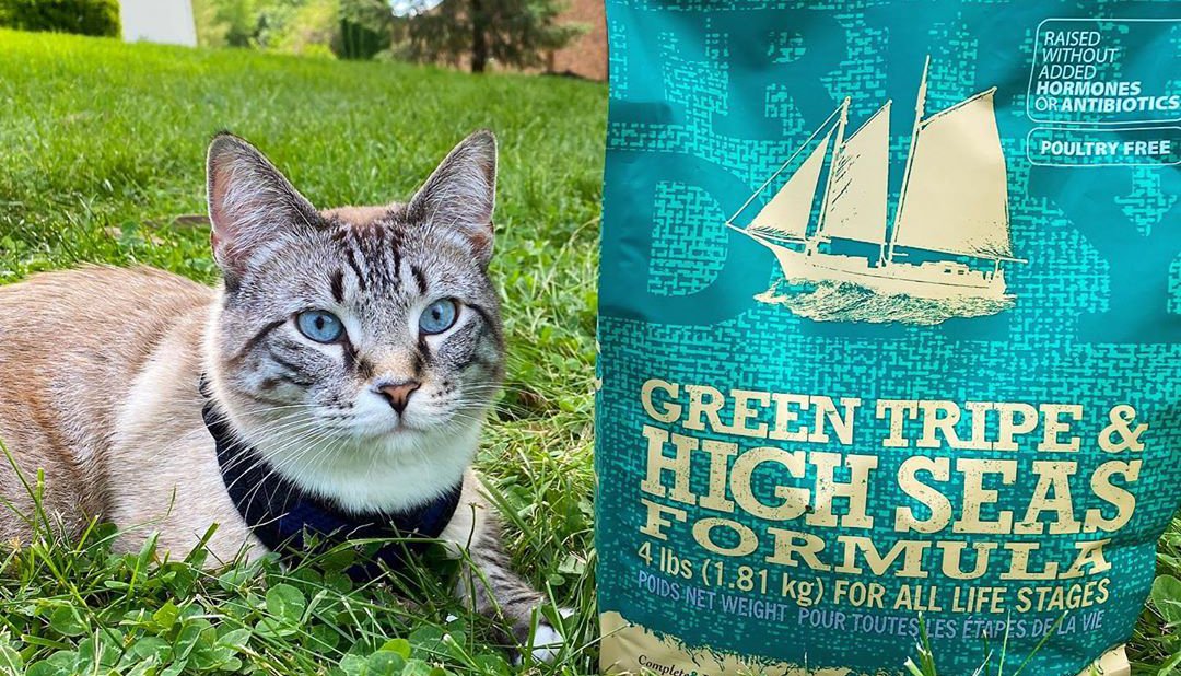 Oliver Loves Green Tripe