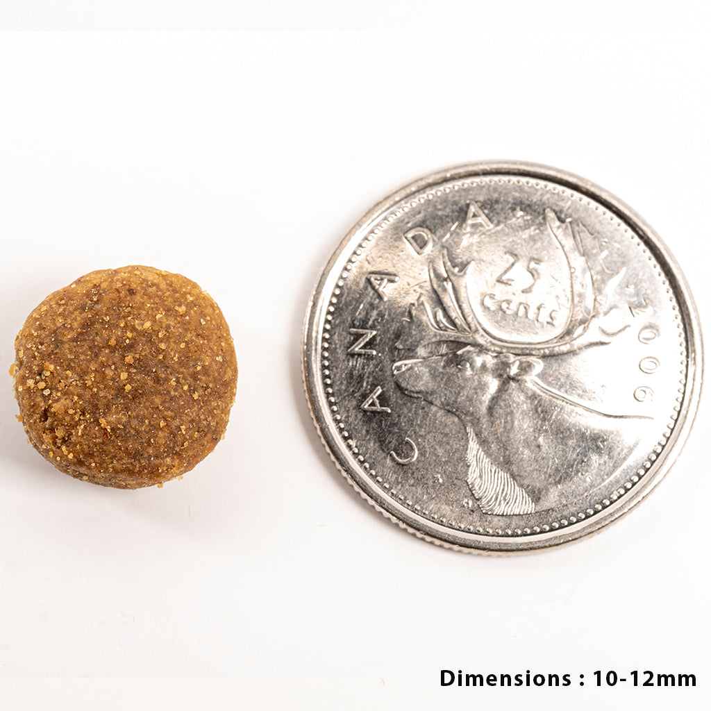 Beef-Venison_Tripett-Dry_Kibble Size