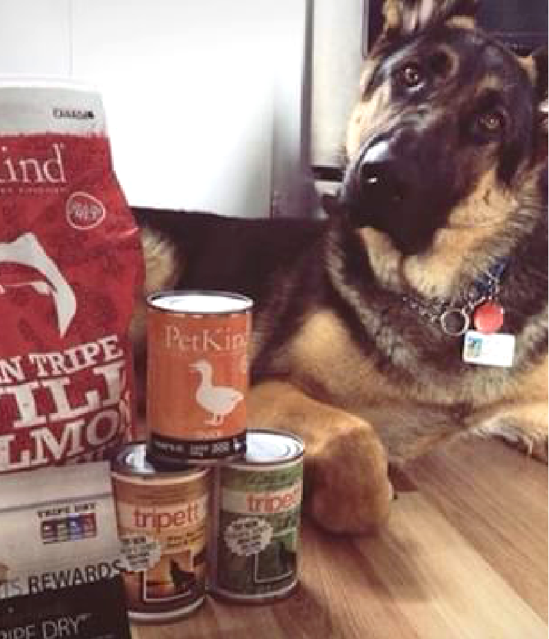 PetKind – The name truly says it all!