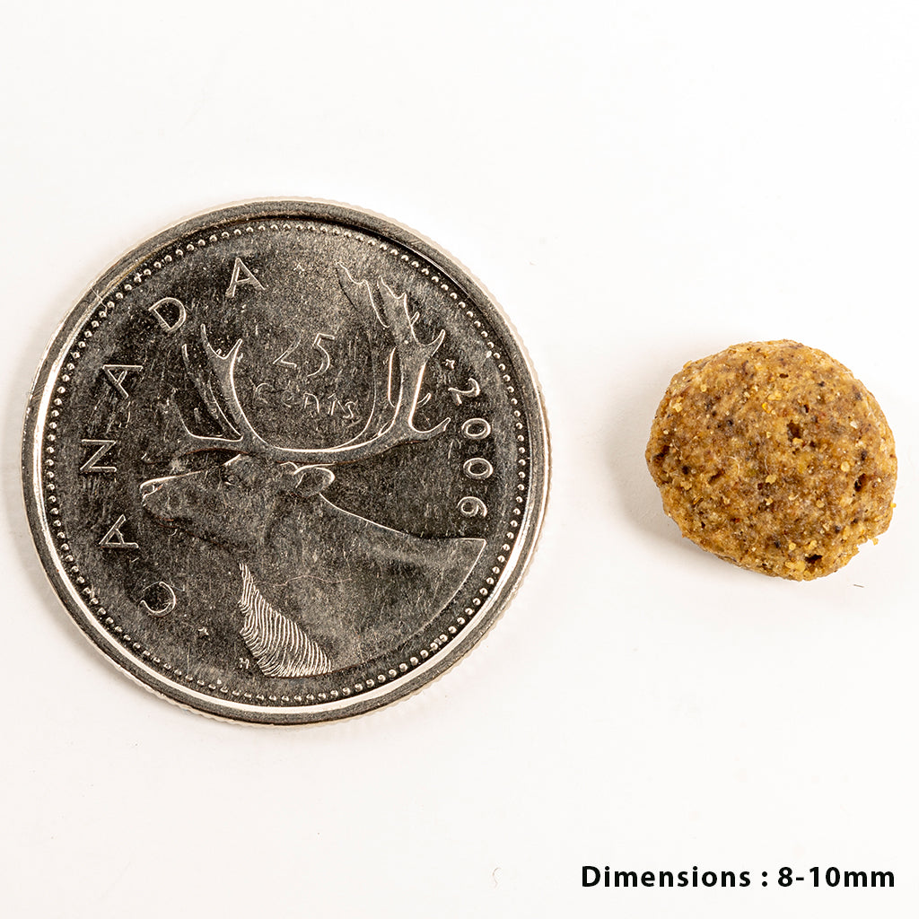 Tripe Dry – Single Animal Protein Beef & Beef Tripe Formula