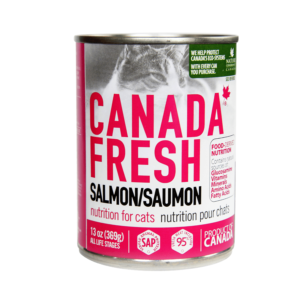 Fresh salmon deals for cats
